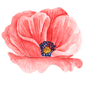 Red watercolour flower