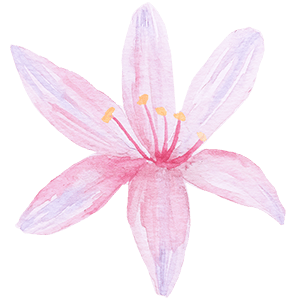 Pink watercolour flower