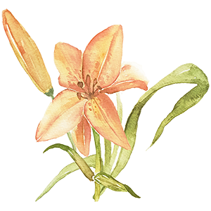 Orange watercolour flower