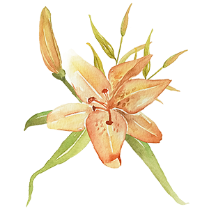 Orange watercolour flower