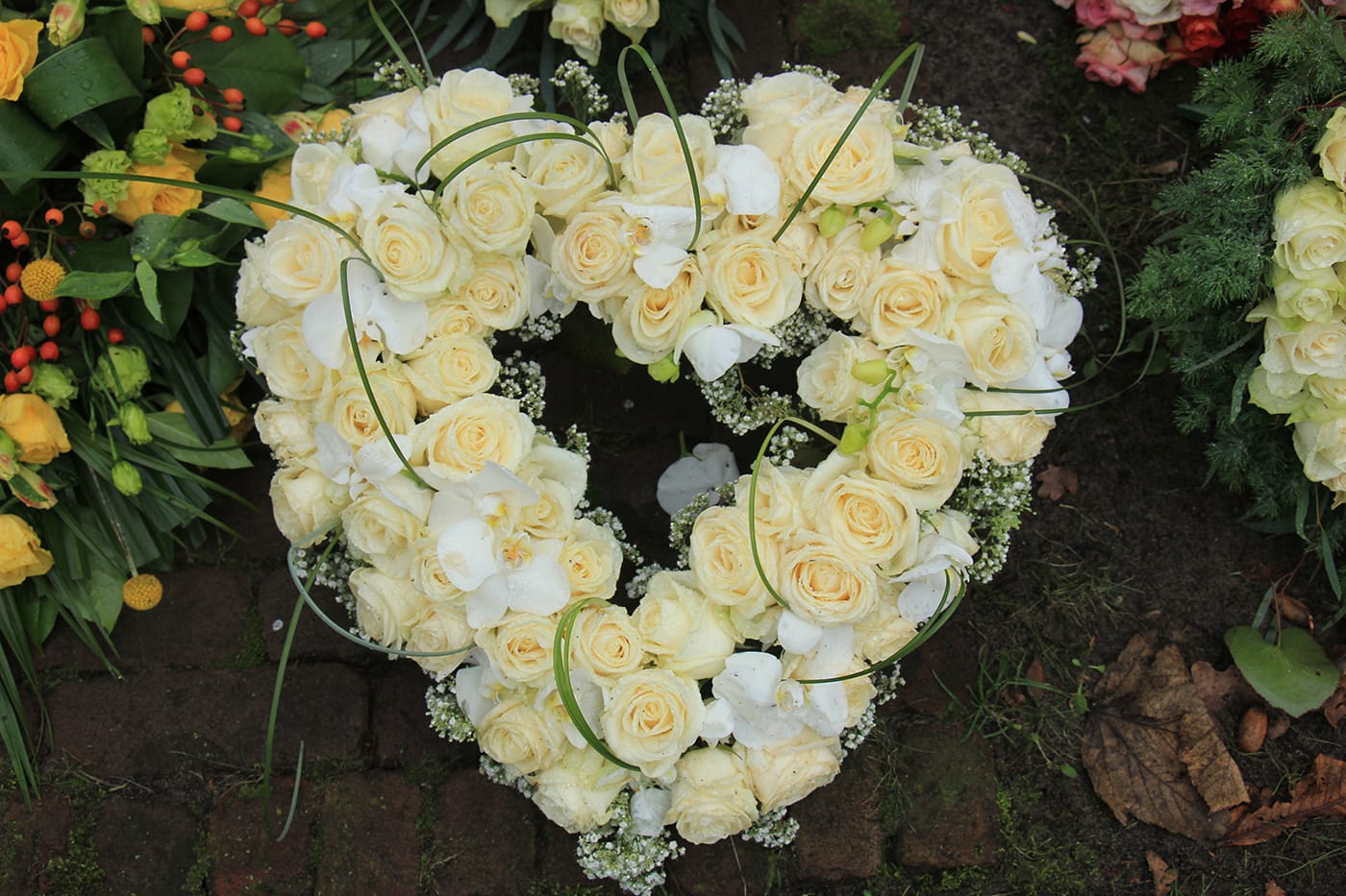 funeral open heart
